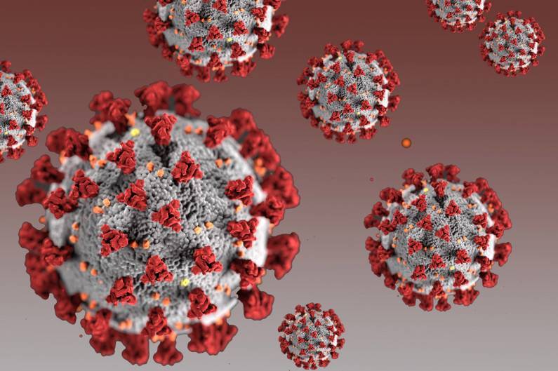 WHO: The coronavirus is officially a pandemic - www.losangelesblade.com - Britain - USA - Eu