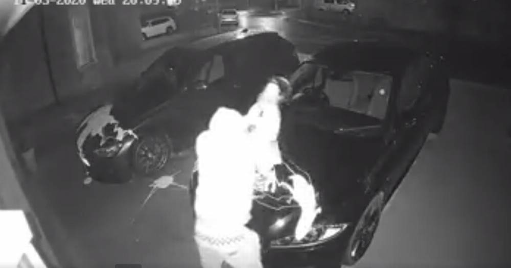 Hooded paint thug caught on camera trashing luxury motors in driveway of home - www.dailyrecord.co.uk