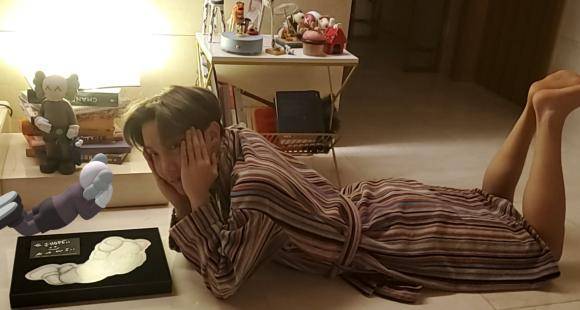 BTS singer J Hope plays peek a boo in these adorable photos; Check it out - www.pinkvilla.com