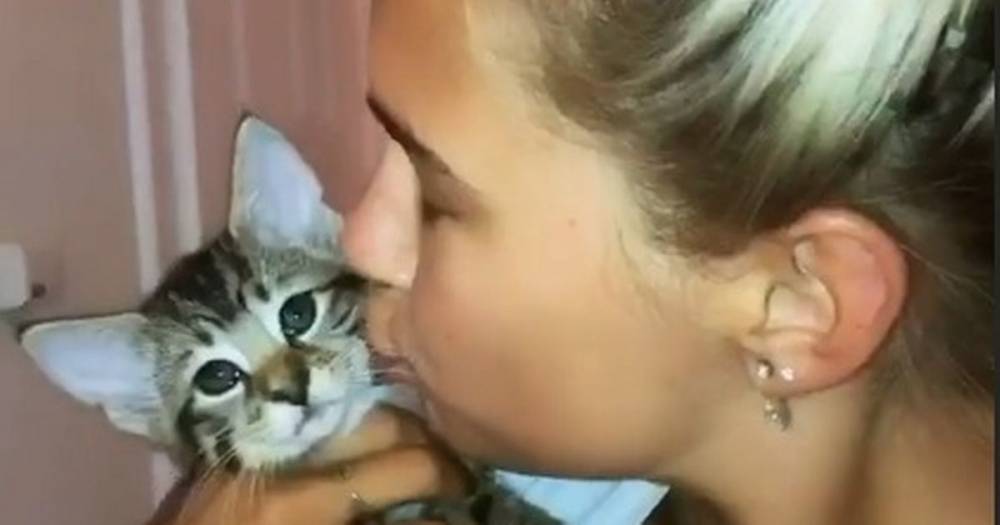 Love Island's Molly-Mae Hague devastated as her cat fights for life after being hit by a car - www.manchestereveningnews.co.uk - Hague