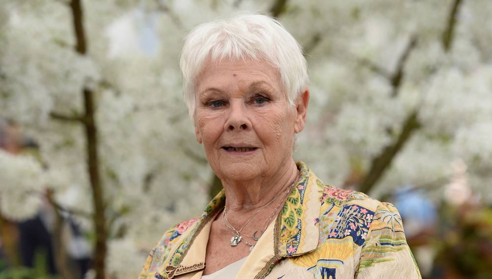 Judi Dench Hasn't Seen 'Cats,' Reacts to Her Razzie Nomination - www.justjared.com