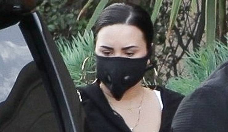 Demi Lovato Wears Mask & Gloves While Stocking Up on Groceries Amid Coronavirus Fears - www.justjared.com - Los Angeles - county Love