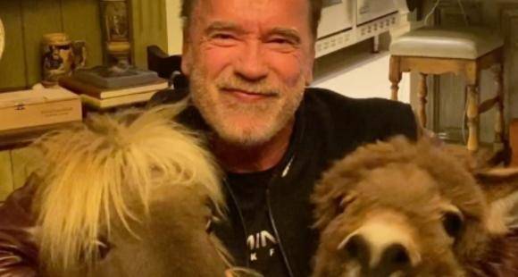 Coronavirus: Arnold Schwarzenegger on self quarantining with his pet ponies: We will get through this together - www.pinkvilla.com
