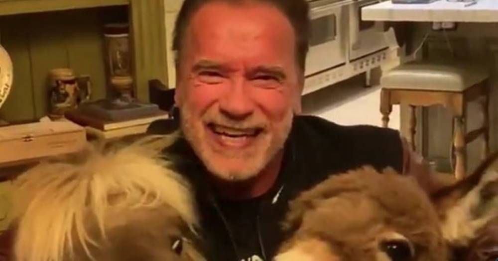 Arnold Schwarzenegger in coronavirus lockdown with horse and donkey as he urges fans to self-isolate - www.dailyrecord.co.uk