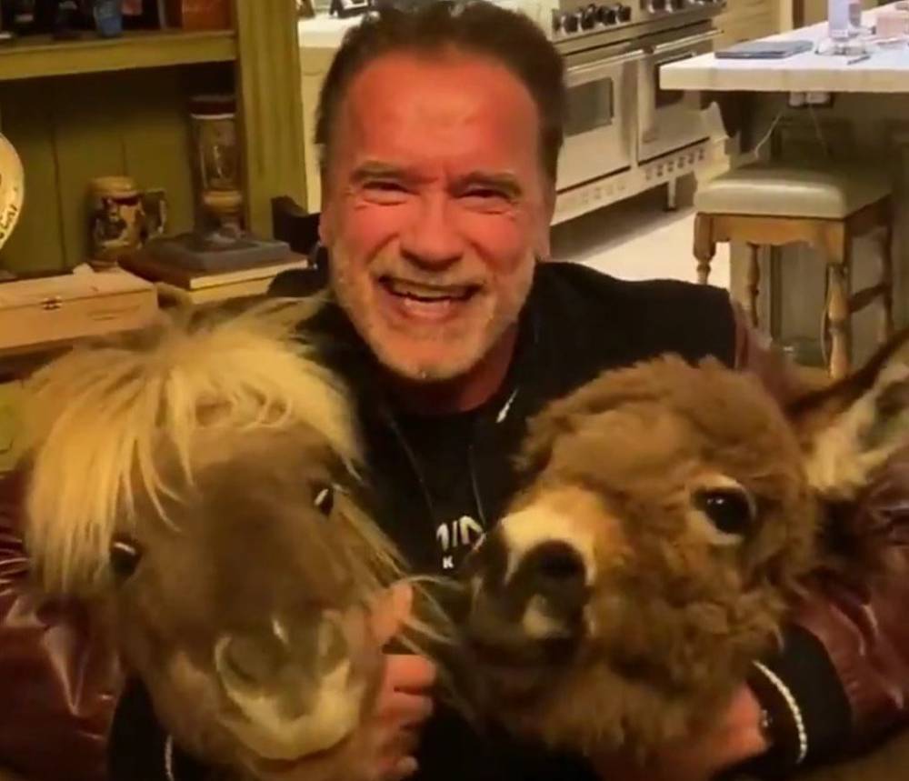 Arnold Schwarzenegger Posts Coronavirus Message Starring Ponies Lulu & Whiskey: “Listen To The Experts, Ignore The Morons. We Will Get Through This Together” - deadline.com - California