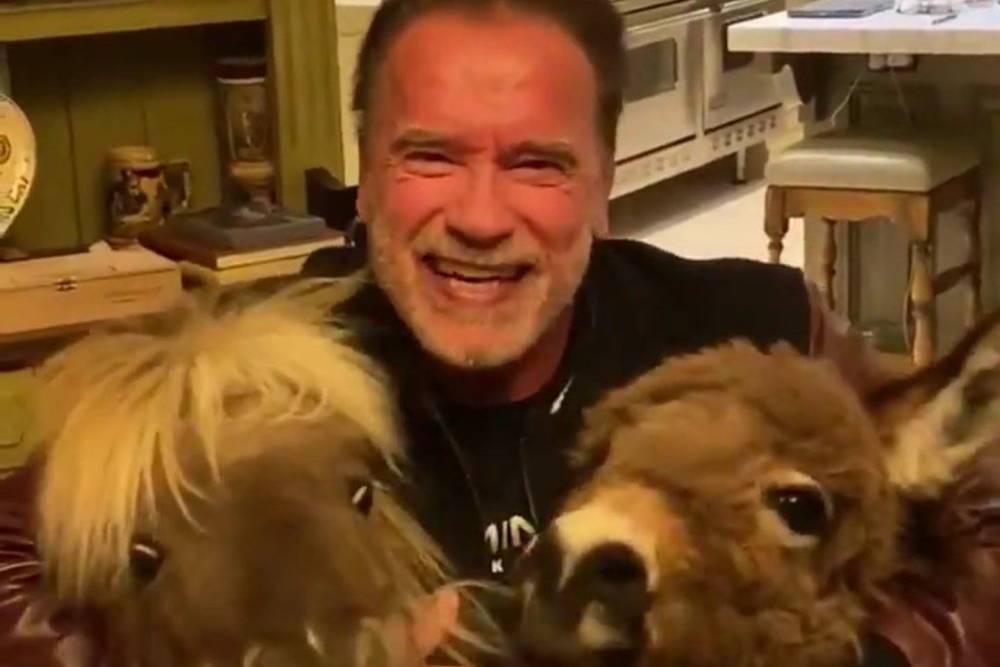 Arnold Schwarzenegger Enlists His Donkey And Pony To Send A Message About Social Distancing - etcanada.com - California