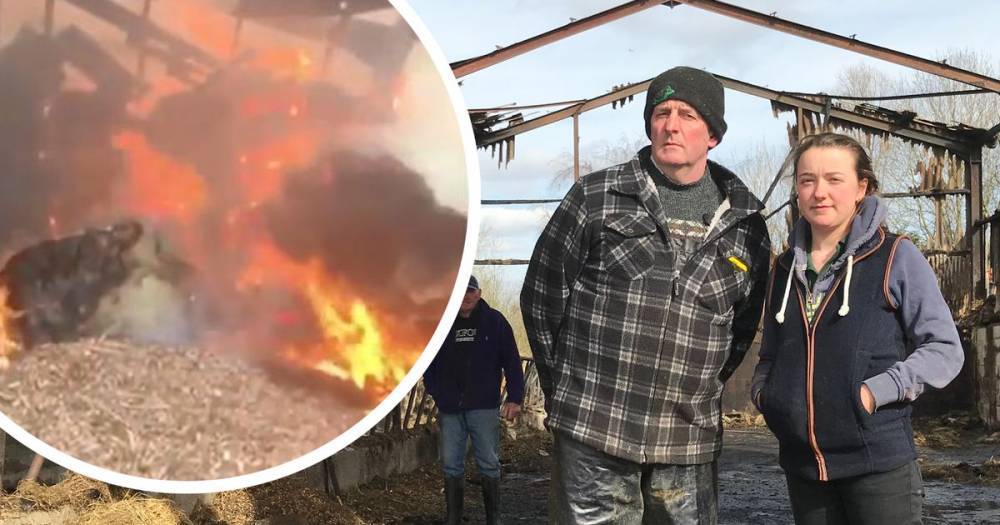 Devastated dairy farmer says he'll have to fork out £70,000 after yobs torch his barn - www.manchestereveningnews.co.uk - Manchester