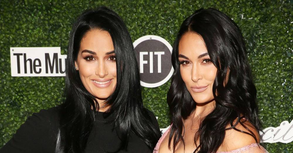 Nikki and Brie Bella Show Off Baby Bumps in Tiny Bikinis: ‘Finding Calm in the Midst of Chaos’ - www.usmagazine.com