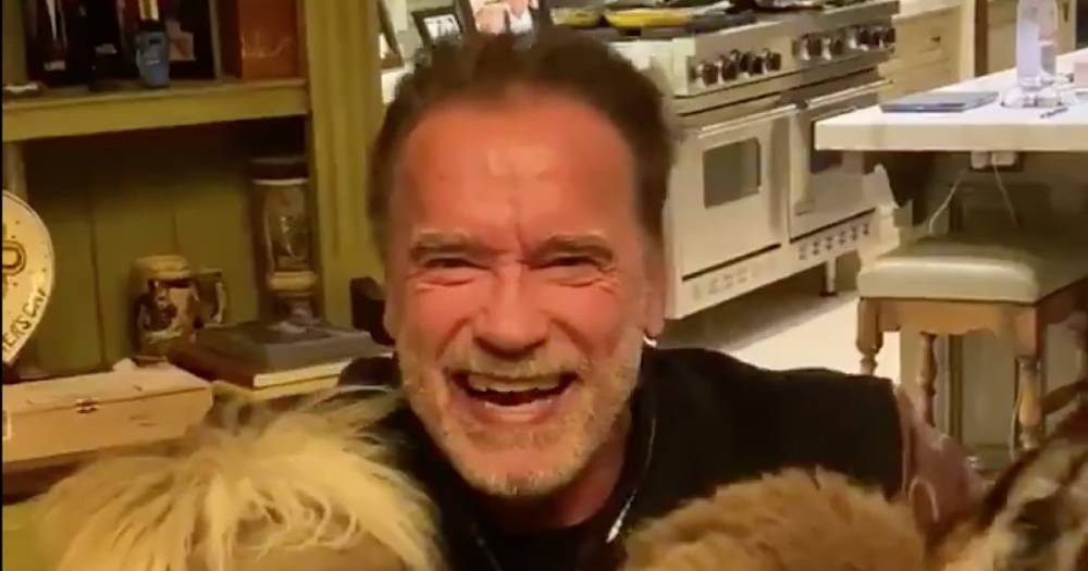Arnold Schwarzenegger Urges People to Stay Indoors As He Practices Social Distancing With His Donkey and Mini Pony Amid Coronavirus Pandemic - www.usmagazine.com - California