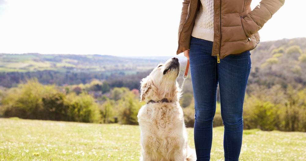 Can you walk your dog and go outside if you are self-isolating from coronavirus? - www.manchestereveningnews.co.uk
