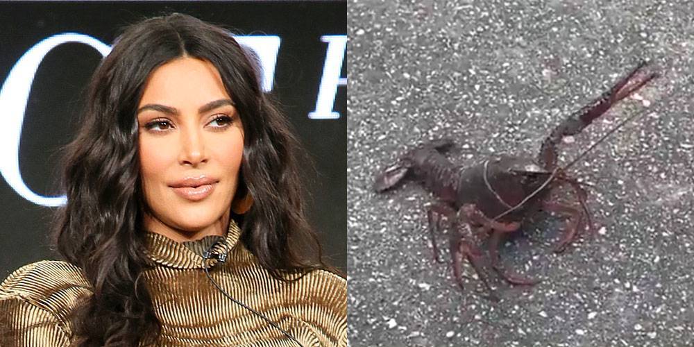 Kim Kardashian Just Found a Lobster Walking Down Her Street - www.justjared.com