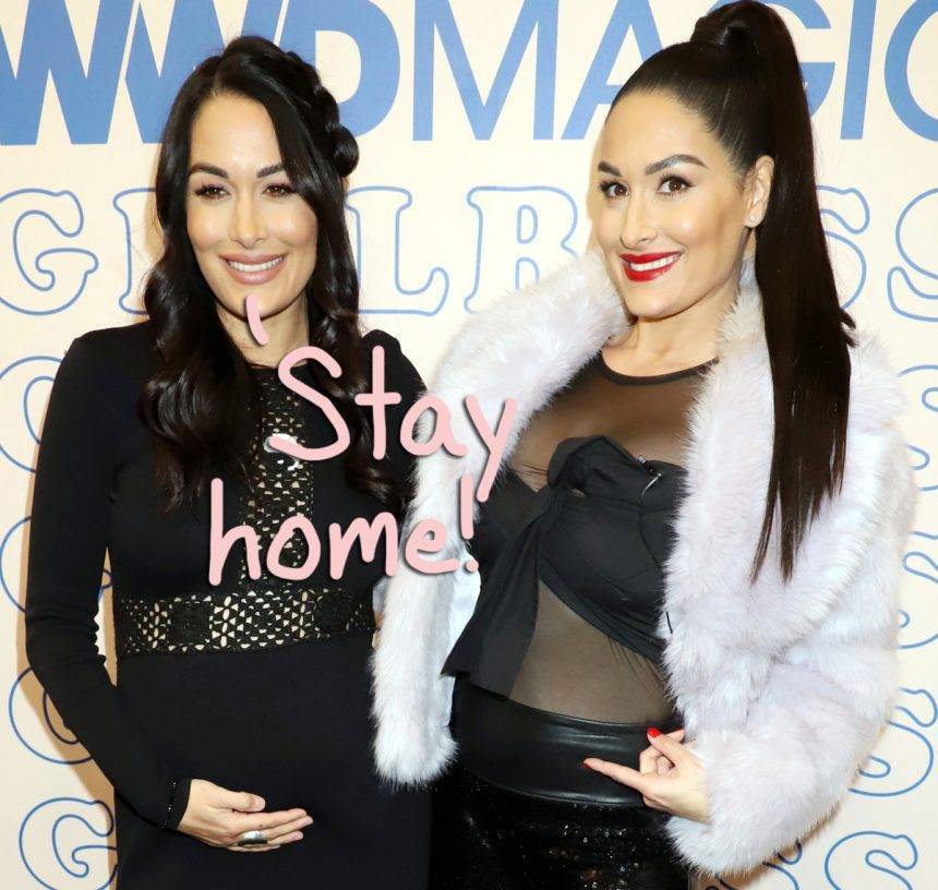 Nikki & Brie Bella Show Off Their Adorable Baby Bumps — And Set Good Examples With Social Distancing! - perezhilton.com