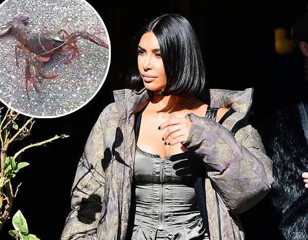Kim Kardashian Found a Live Lobster Walking Down Her Street and Twitter Is Shook - www.eonline.com