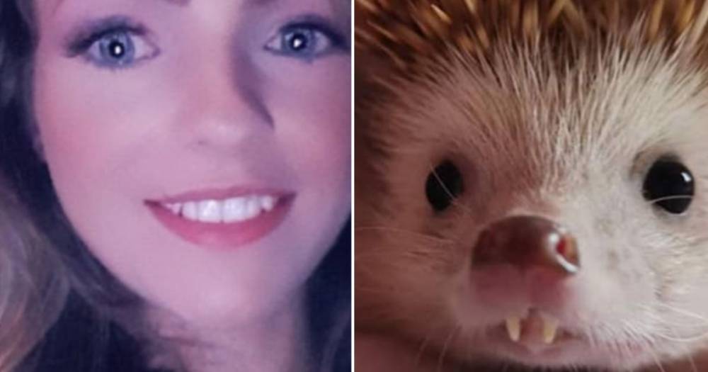 Scots mum leaves social media stunned after asking for tips on toilet training her unusual pet - www.dailyrecord.co.uk - Scotland