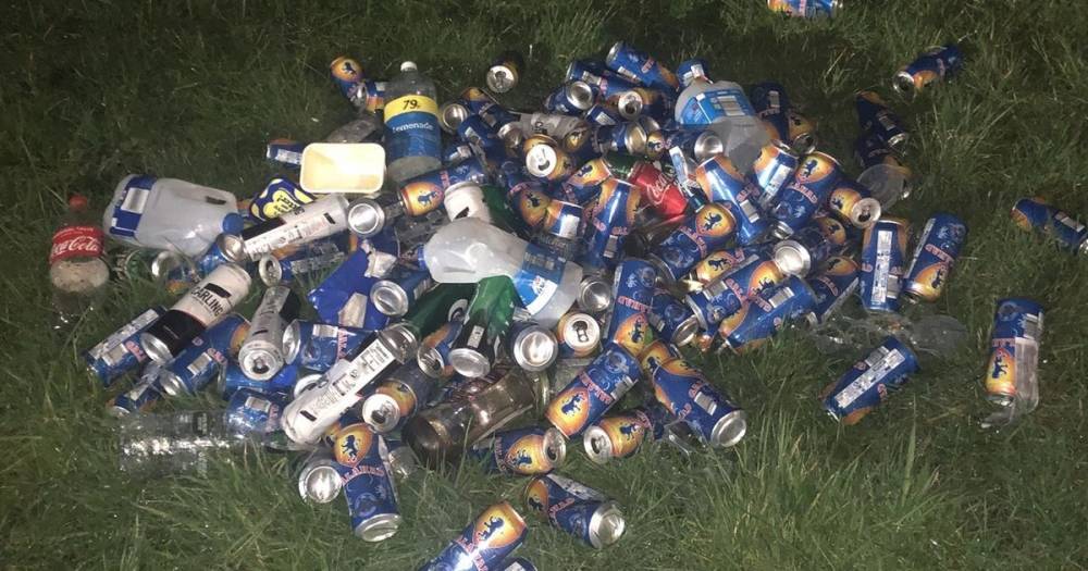 Youths trash children's playground before setting bins alight...and their parents could feel the repercussions - www.manchestereveningnews.co.uk