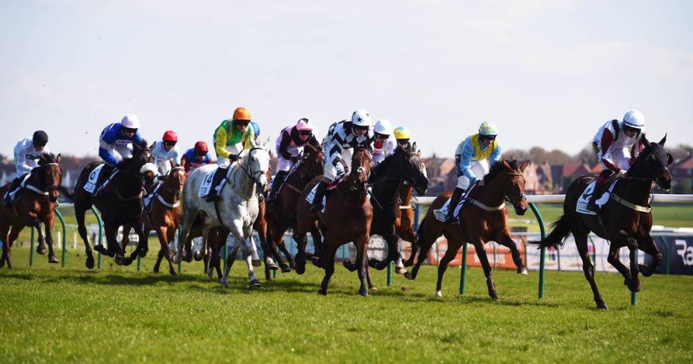 Scottish Grand National at Ayr Racecourse in jeopardy - www.dailyrecord.co.uk - Britain - Scotland