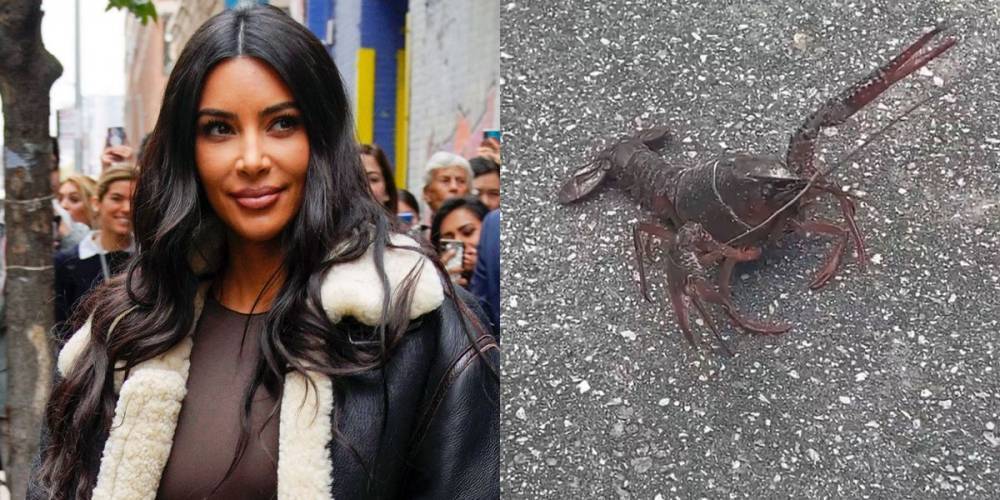 Kim Kardashian Found a Lobster Walking Down Her Street and Twitter Can't Handle It - www.elle.com