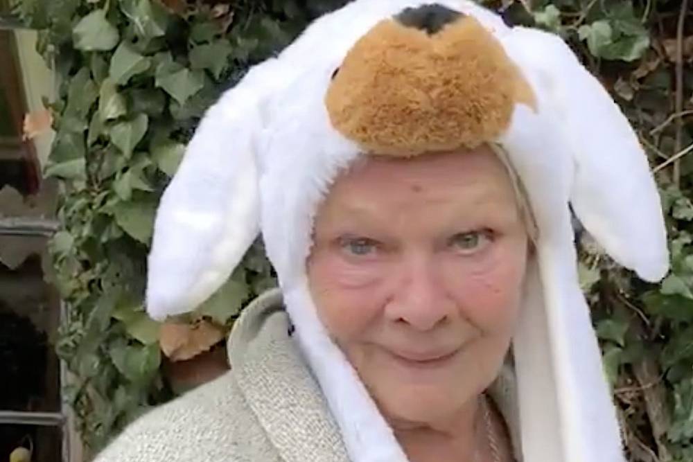 Judi Dench Wears A Puppy Hat In Adorable Coronavirus Video Message - etcanada.com