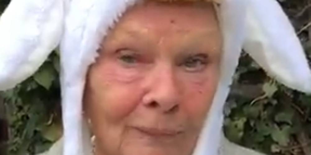 Judi Dench Has Some Lighthearted Advice for Getting Through the Coronavirus Pandemic - Watch! (Video) - www.justjared.com