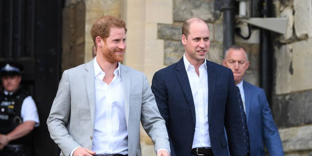 Prince Harry and Prince William Are Reportedly "Filled with Anger and Resentment" Toward Each Other - www.cosmopolitan.com