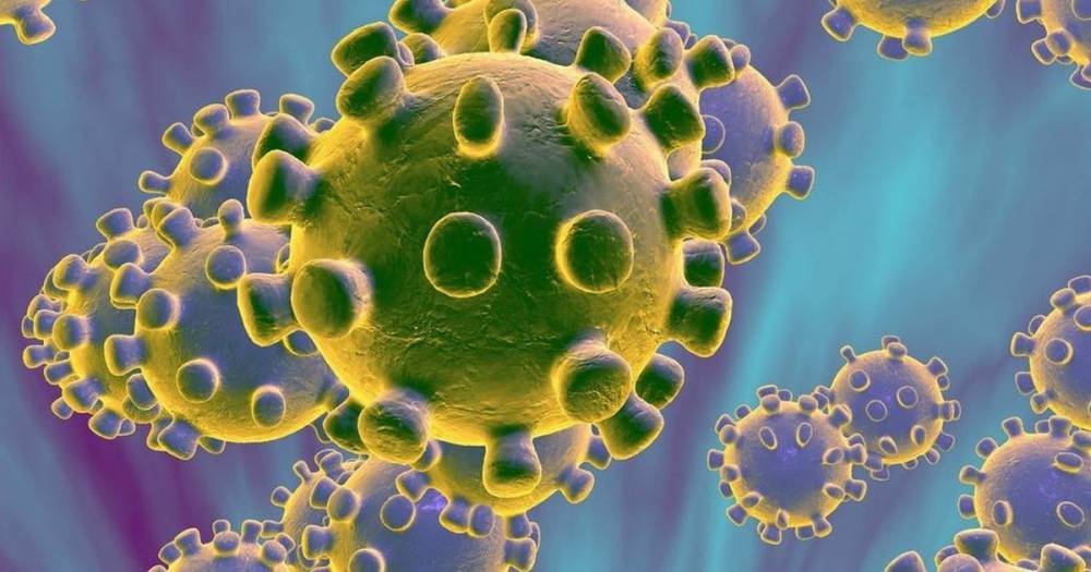 Another eight people test positive for coronavirus in Lanarkshire - www.dailyrecord.co.uk - Scotland