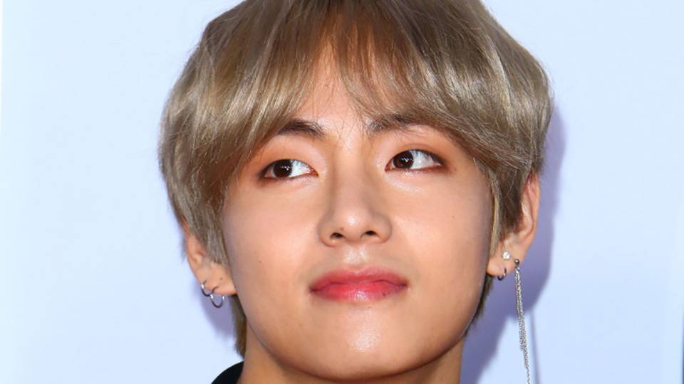 BTS Member V Might Have Had His Passport Information Leaked ARMYs Are Freaking Out - stylecaster.com - North Korea