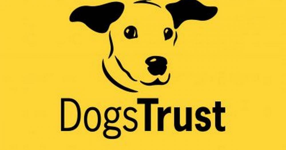 Dog Trust from West Calder is banning walk-in visitors - www.dailyrecord.co.uk - Britain - Scotland