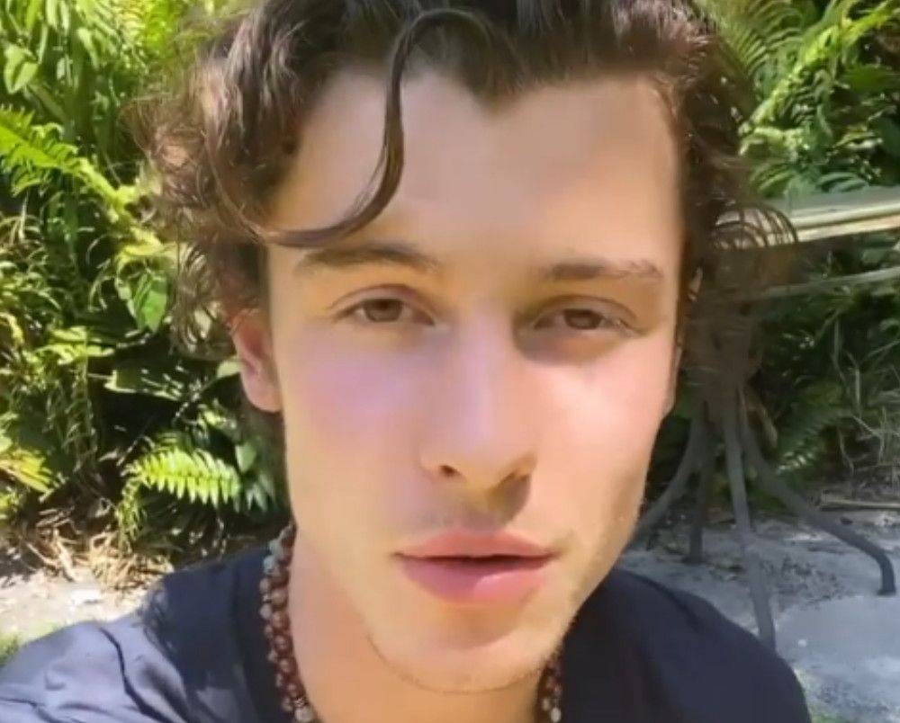 Shawn Mendes Sends Love To His Fans In Video Message Amid Coronavirus Outbreak: ‘It’s Important To Stay In A Healthy Mindset’ - etcanada.com