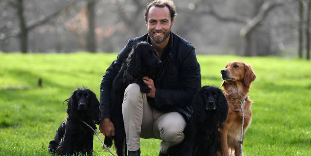 Kate Middleton's Brother James Just Hosted a Dinner Party for His Dogs - www.harpersbazaar.com