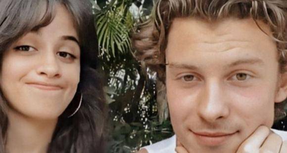 Camila Cabello and Shawn Mendes are binge watching Harry Potter films together amid Coronavirus lockdown - www.pinkvilla.com