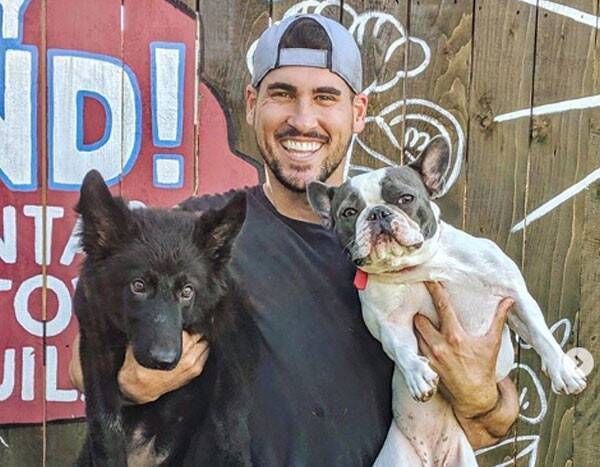 Bachelor Alum Josh Murray Shares Cute Video of His Dog Interrupting His Home Workout - www.eonline.com