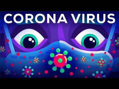 You MUST See This Video Explaining The Science Behind The Coronavirus & How To Stop It! - perezhilton.com