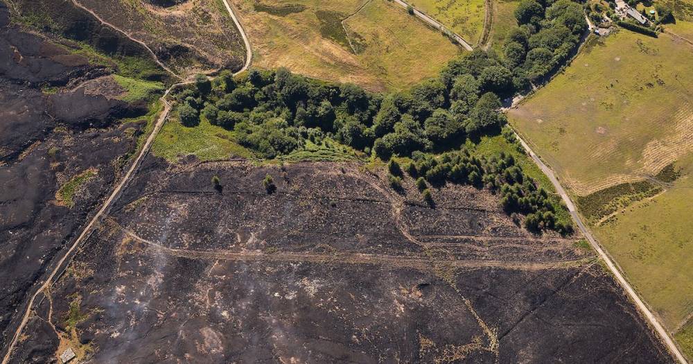 How moors ravaged by the ‘worst fire in living memory’ are becoming Britain’s newest forest - www.manchestereveningnews.co.uk - Britain