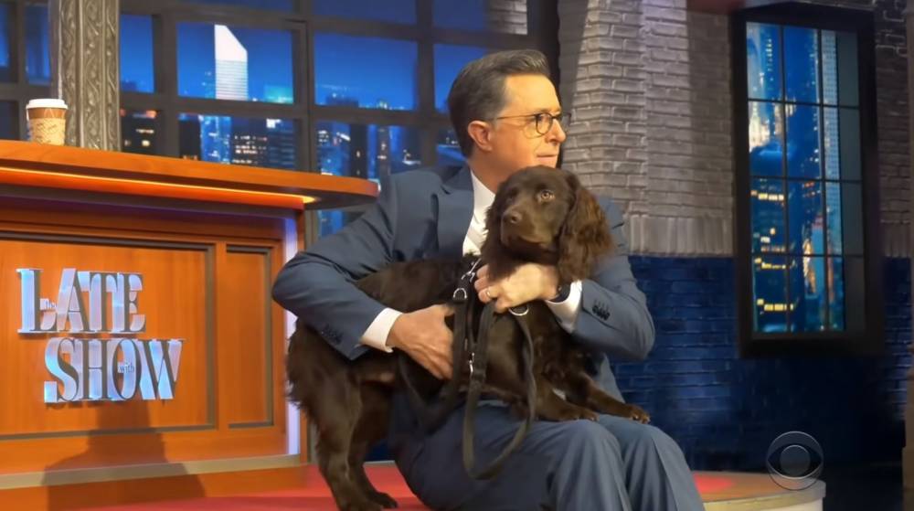 ‘The Late Show’ Pays Tribute To Benny Colbert For National Puppy Day - etcanada.com