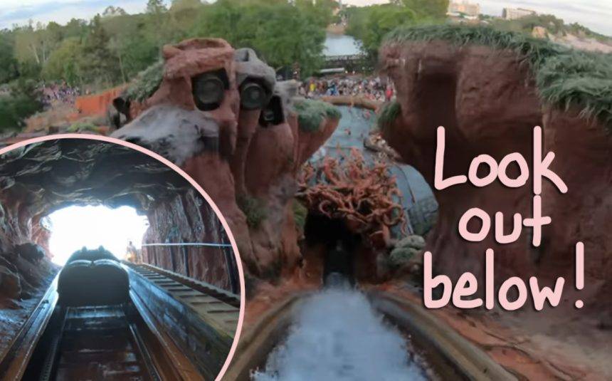 Family Hilariously Recreates Disneyland’s Splash Mountain Ride Amid Coronavirus Vacation Cancellations! - perezhilton.com - USA