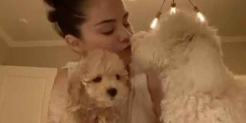 Selena Gomez Introduced Instagram to Her New Puppy Daisy - www.elle.com - California