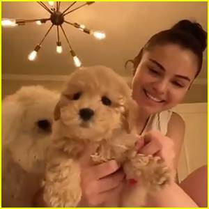 Selena Gomez Fosters & Then Adopts Brand New Puppy During Quarantine - www.justjared.com