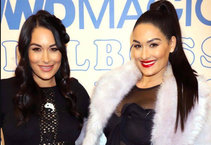 Brie And Nikki Bella Share How They’re Staying Calm While Being Pregnant Amid Coronavirus - etcanada.com - France