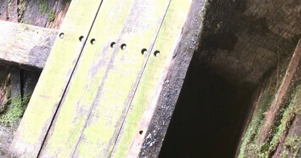 Cat trapped inside a lock gate on a canal for a week rescued unhurt by the RSPCA and firefighters - www.manchestereveningnews.co.uk - Manchester