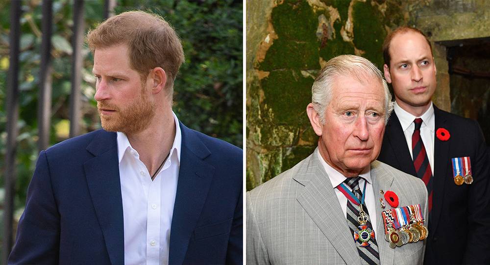 Prince Charles talks to sons Prince William and Prince Harry about his coronavirus diagnosis - www.newidea.com.au - London