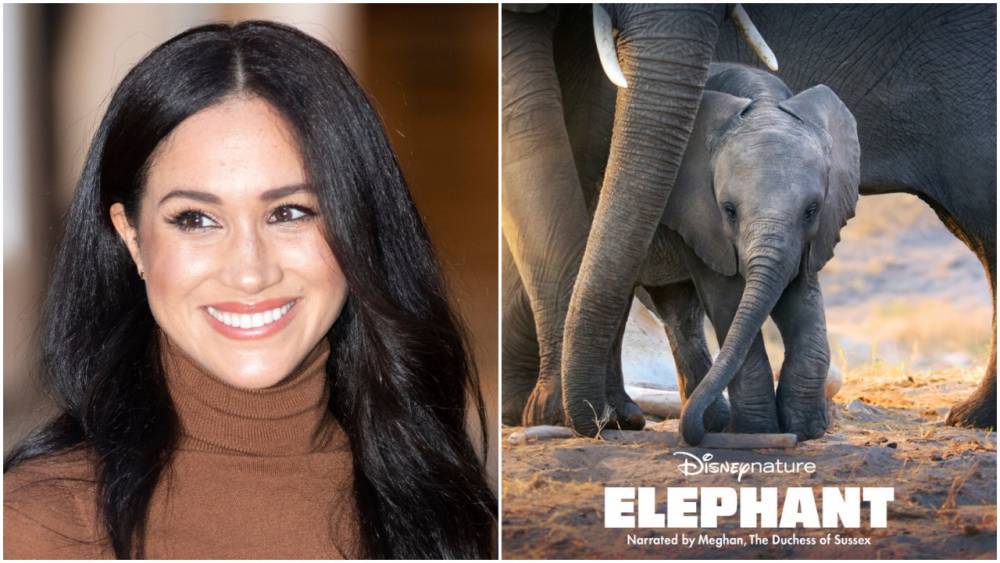Meghan Markle To Voice ‘Elephant’ Documentary For Disney+ - deadline.com