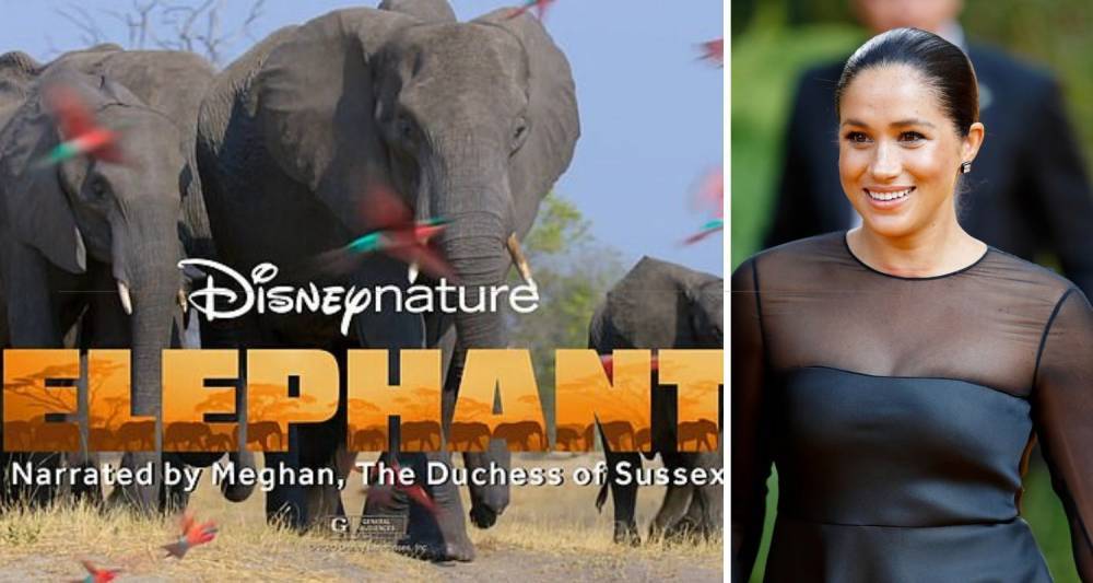 First trailer for Meghan Markle's Disney 'Elephant' movie has been released - www.who.com.au