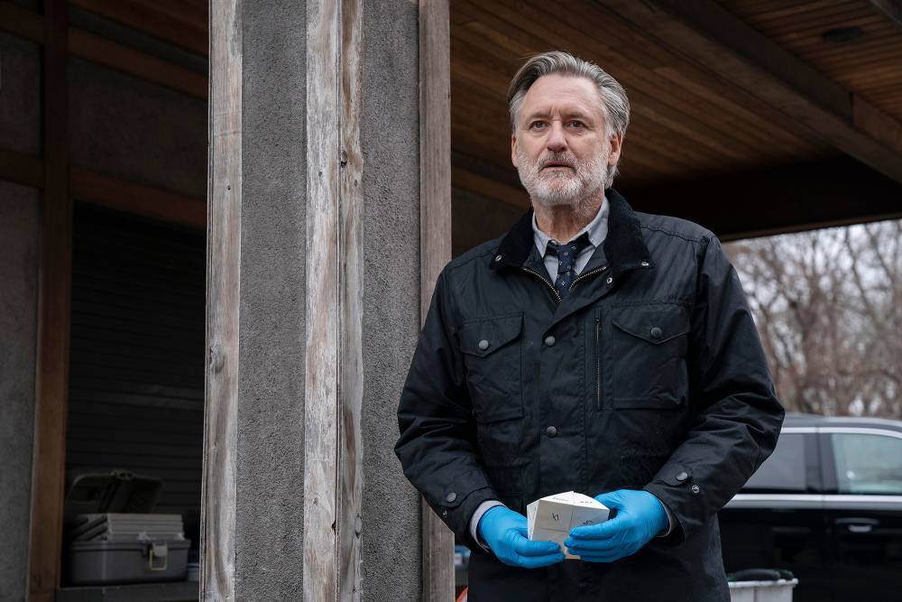 ‘The Sinner’ star Bill Pullman dissects chilling Season 3 finale - nypost.com - USA