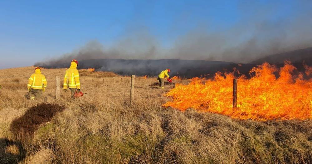 Winter Hill fire near Bolton was 'started deliberately' - www.manchestereveningnews.co.uk - Manchester - county Belmont