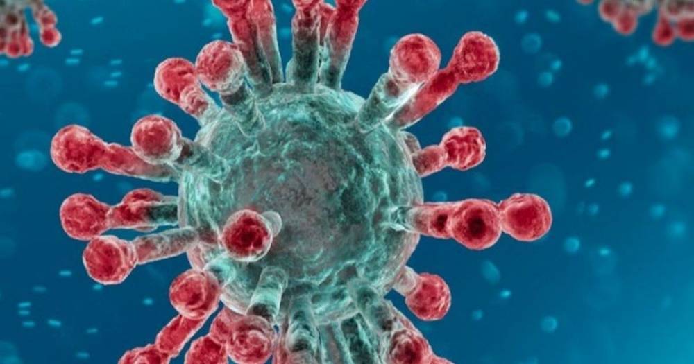 Coronavirus Scotland: 40 die from virus as confirmed cases reach 1245 - www.dailyrecord.co.uk - Scotland