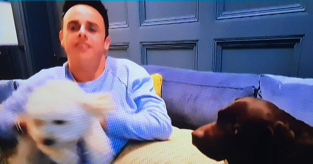 Saturday Night Takeaway fans upset after Ant McPartlin appeared to 'throw' his dogs - www.manchestereveningnews.co.uk - Malta