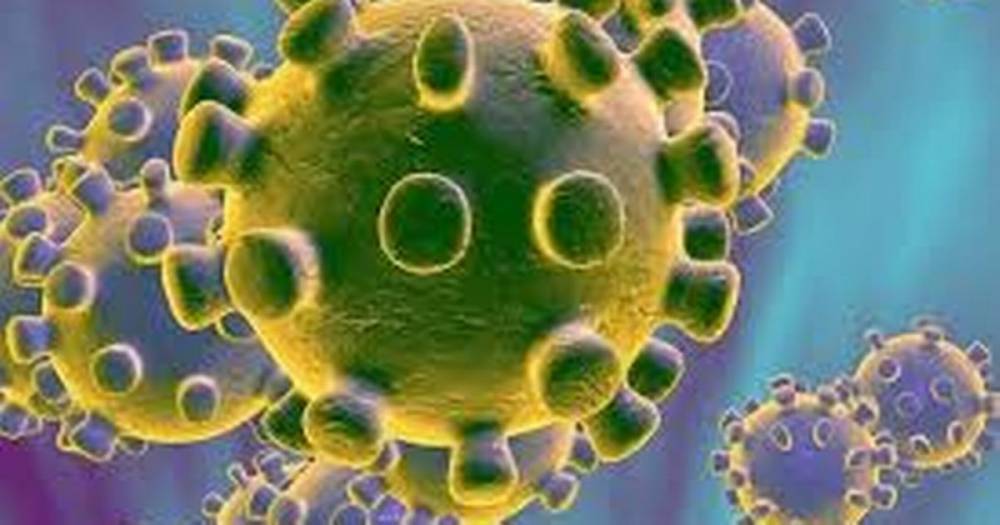 Coronavirus Scotland: 41 die from virus as confirmed cases reach 1,384 - www.dailyrecord.co.uk - Scotland