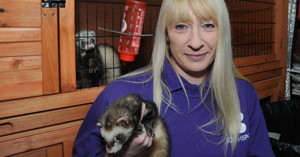 Ayr animal charity's urgent appeal for donations - www.dailyrecord.co.uk - Scotland