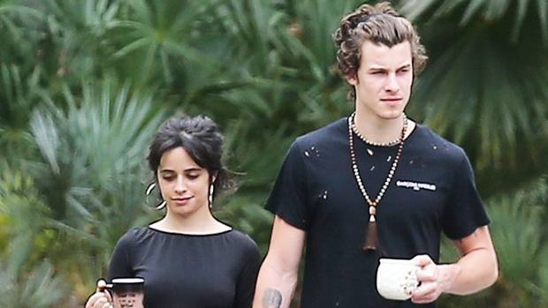 Shawn Mendes With Camila Cabello More Couples Out Walking Or Exercising During Quarantine: Pics - hollywoodlife.com