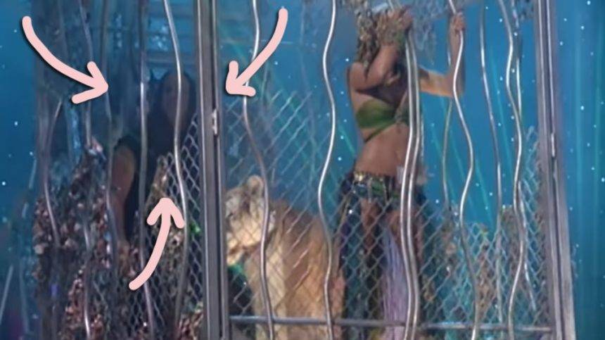 Controversial Tiger King Star Doc Antle Was In Britney Spears’ Iconic 2001 MTV VMAs Performance! - perezhilton.com